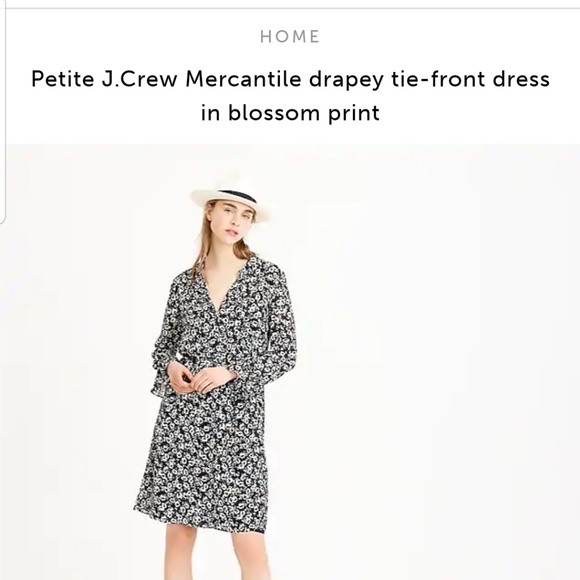 Petite J.Crew Mercantile drapey tie-front dress - Picture 2 of 5